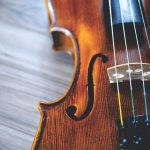 violin