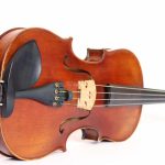 viola