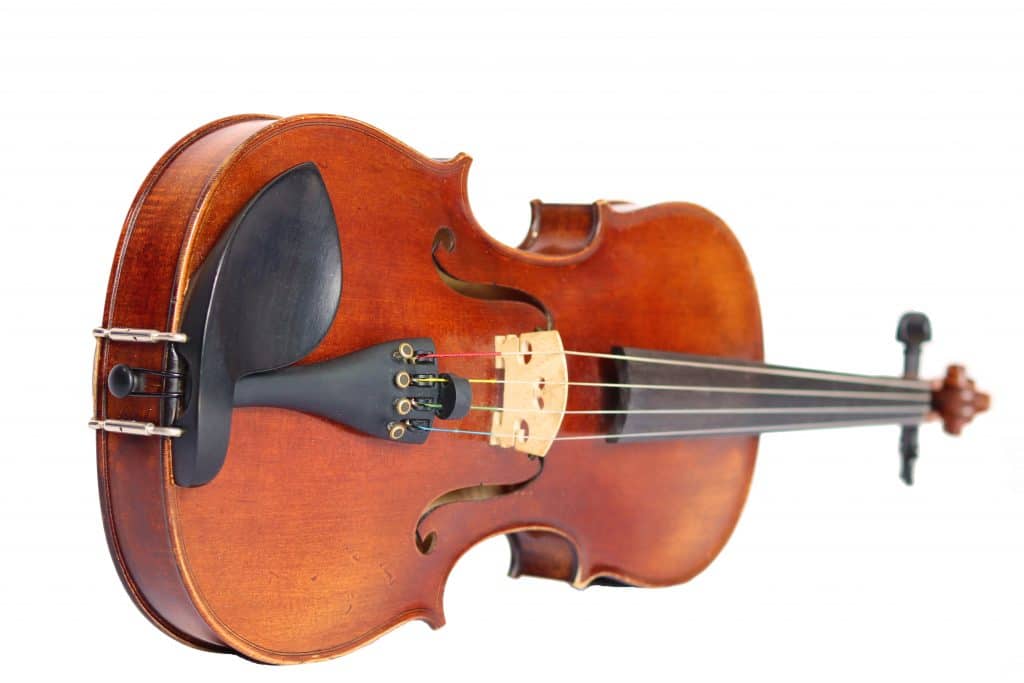 viola